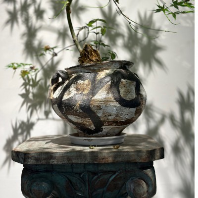 瓷器花瓶带植物